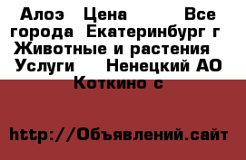 Алоэ › Цена ­ 150 - Все города, Екатеринбург г. Животные и растения » Услуги   . Ненецкий АО,Коткино с.